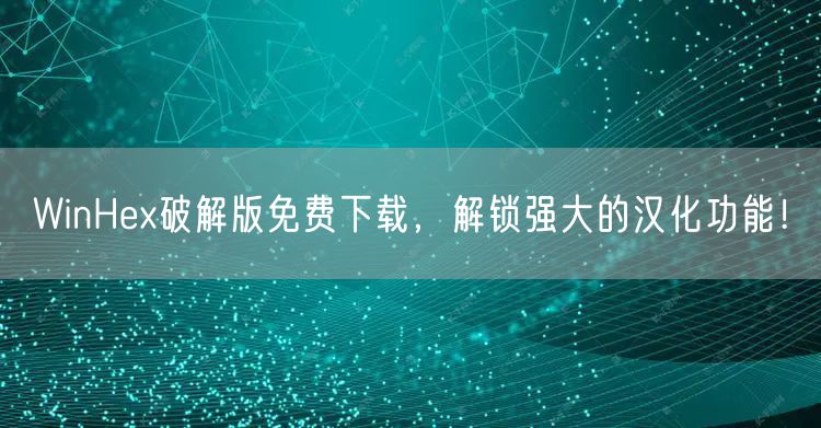 WinHex破解版免费下载，解锁强大的汉化功能！
