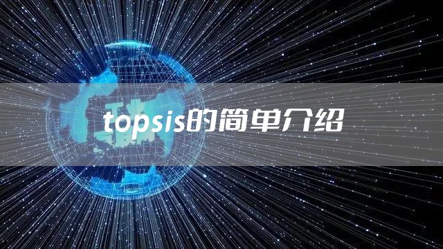 topsis的简单介绍