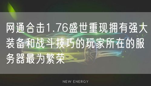 网通合击1.76盛世重现拥有强大装备和战斗技巧的玩家所在的服务器最为繁荣