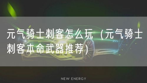 元气骑士刺客怎么玩（元气骑士刺客本命武器推荐）