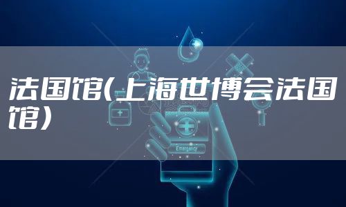 法国馆（上海世博会法国馆）