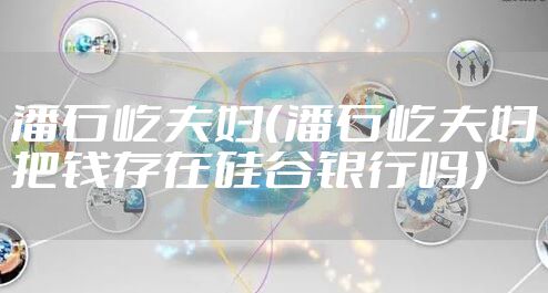 潘石屹夫妇（潘石屹夫妇把钱存在硅谷银行吗）