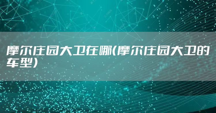 摩尔庄园大卫在哪（摩尔庄园大卫的车型）