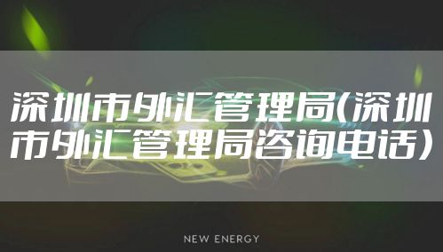 深圳市外汇管理局（深圳市外汇管理局咨询电话）