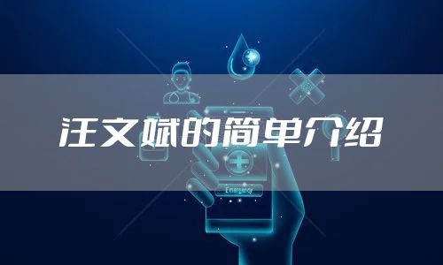 汪文斌的简单介绍