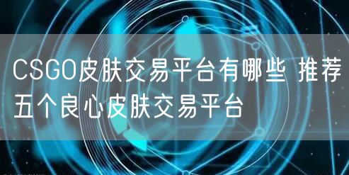 CSGO皮肤交易平台有哪些 推荐五个良心皮肤交易平台