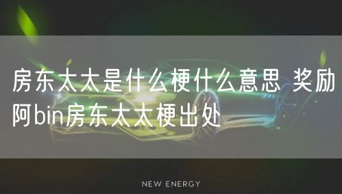 房东太太是什么梗什么意思 奖励阿bin房东太太梗出处