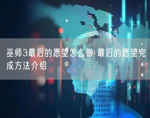 巫师3最后的愿望怎么做 最后的愿望完成方法介绍