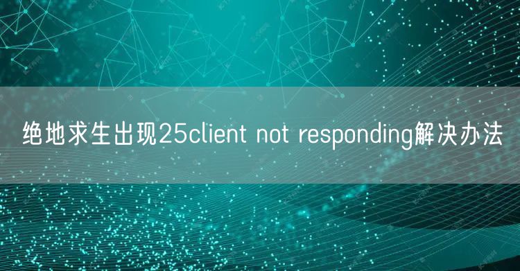 绝地求生出现25client not responding解决办法