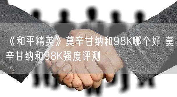《和平精英》莫辛甘纳和98K哪个好 莫辛甘纳和98K强度评测
