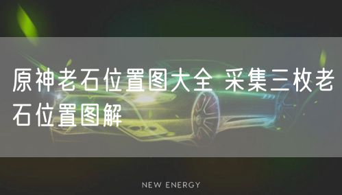 原神老石位置图大全 采集三枚老石位置图解