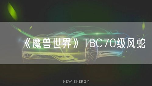 《魔兽世界》TBC70级风蛇