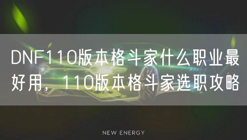 DNF110版本格斗家什么职业最好用，110版本格斗家选职攻略