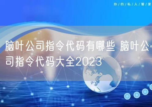 脑叶公司指令代码有哪些 脑叶公司指令代码大全2023
