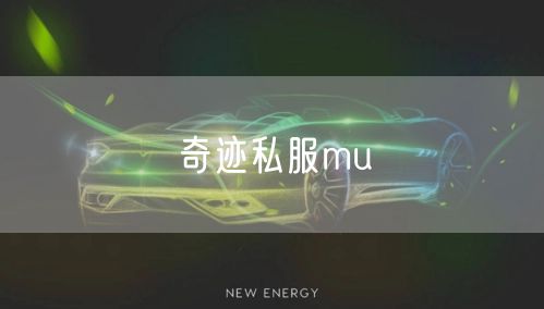 奇迹私服mu