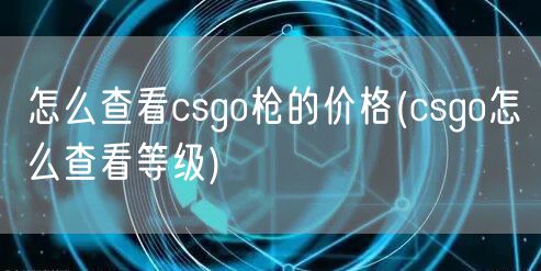 怎么查看csgo枪的价格(csgo怎么查看等级)