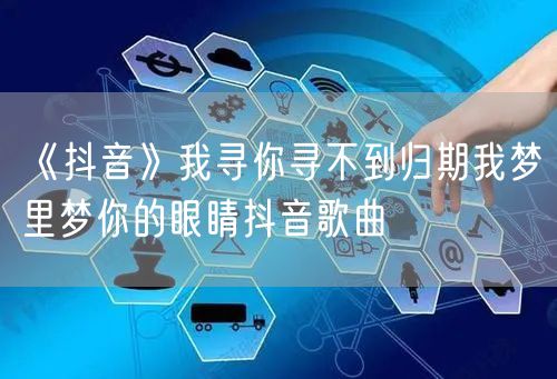 《抖音》我寻你寻不到归期我梦里梦你的眼睛抖音歌曲