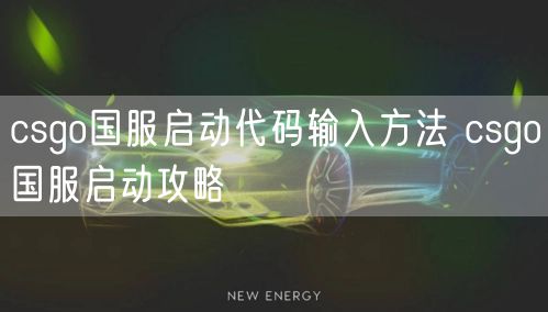 csgo国服启动代码输入方法 csgo国服启动攻略