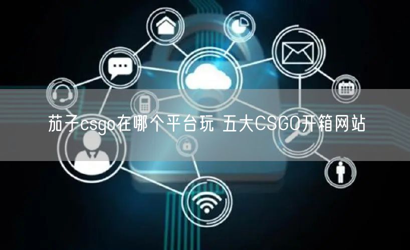茄子csgo在哪个平台玩 五大CSGO开箱网站