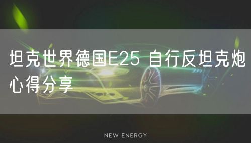 坦克世界德国E25 自行反坦克炮心得分享