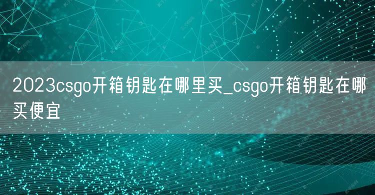 2023csgo开箱钥匙在哪里买_csgo开箱钥匙在哪买便宜