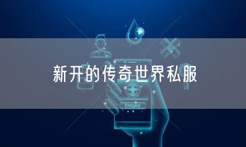 新开的传奇世界私服