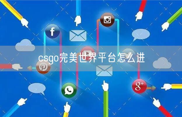 csgo完美世界平台怎么进