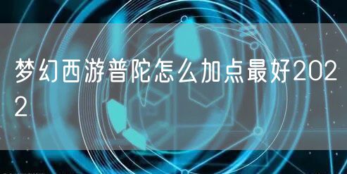 梦幻西游普陀怎么加点最好2022