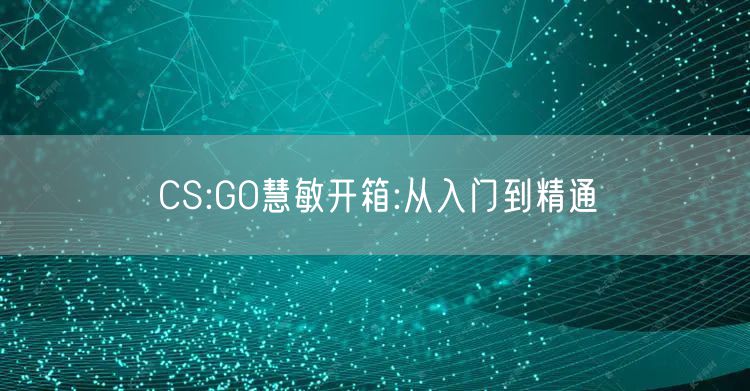 CS:GO慧敏开箱:从入门到精通