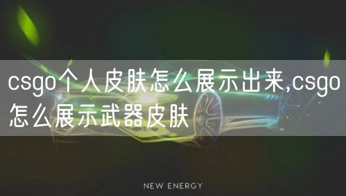 csgo个人皮肤怎么展示出来,csgo怎么展示武器皮肤