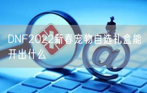 DNF2022新春宠物自选礼盒能开出什么