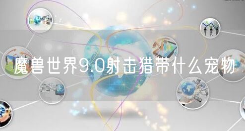 魔兽世界9.0射击猎带什么宠物