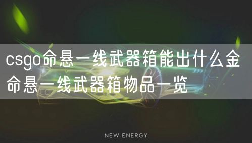 csgo命悬一线武器箱能出什么金 命悬一线武器箱物品一览