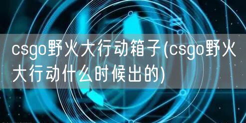 csgo野火大行动箱子(csgo野火大行动什么时候出的)