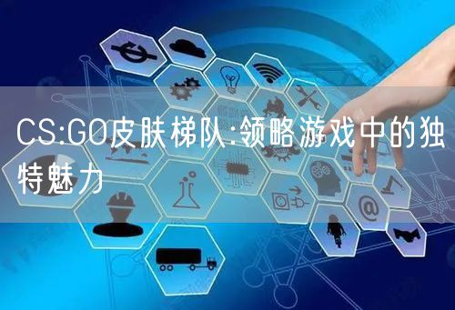 CS:GO皮肤梯队:领略游戏中的独特魅力