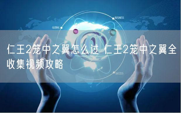 仁王2笼中之翼怎么过 仁王2笼中之翼全收集视频攻略