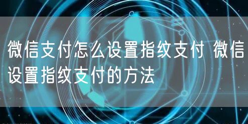 微信支付怎么设置指纹支付 微信设置指纹支付的方法