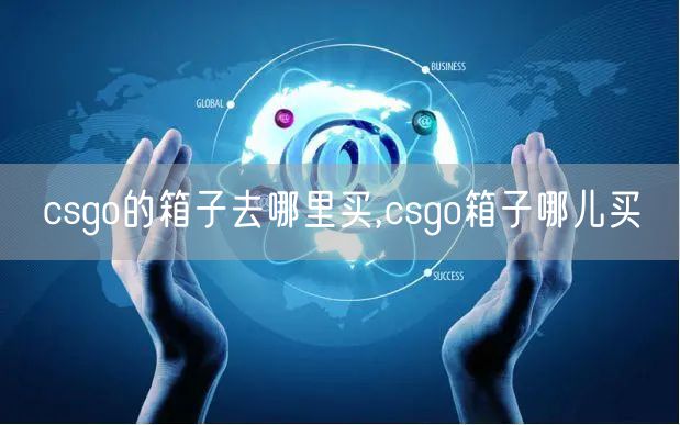 csgo的箱子去哪里买,csgo箱子哪儿买