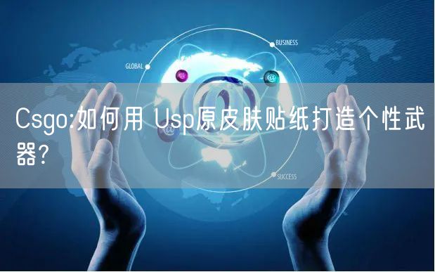 Csgo:如何用 Usp原皮肤贴纸打造个性武器?