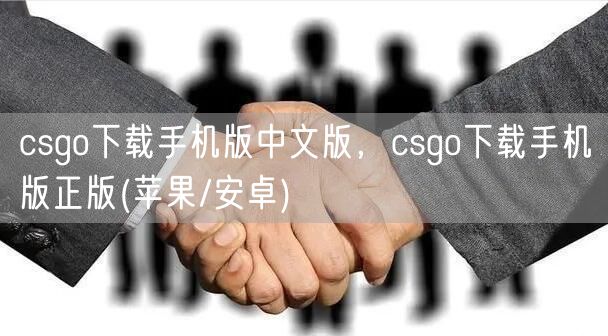 csgo下载手机版中文版，csgo下载手机版正版(苹果/安卓)