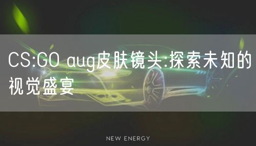 CS:GO aug皮肤镜头:探索未知的视觉盛宴