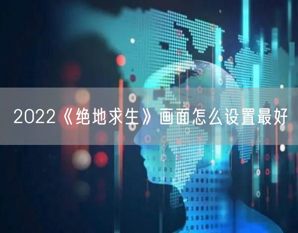2022《绝地求生》画面怎么设置最好