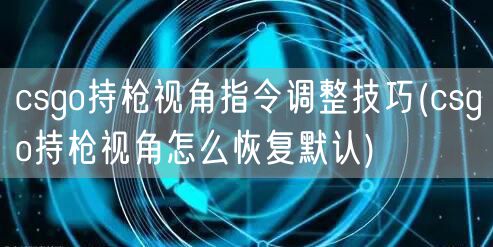 csgo持枪视角指令调整技巧(csgo持枪视角怎么恢复默认)
