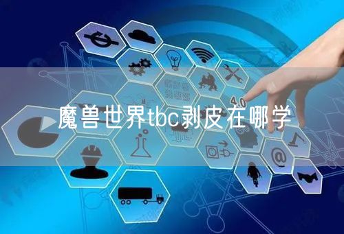 魔兽世界tbc剥皮在哪学