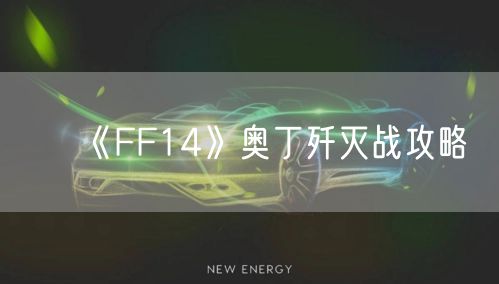 《FF14》奥丁歼灭战攻略