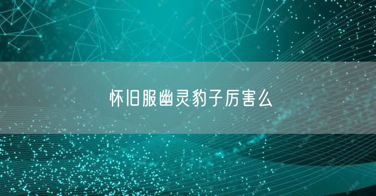 怀旧服幽灵豹子厉害么