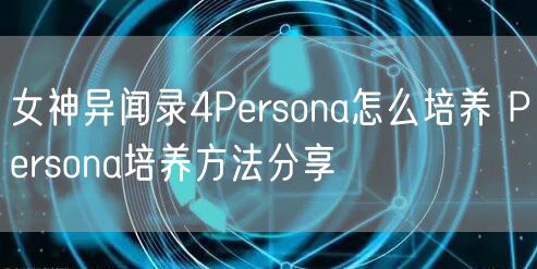 女神异闻录4Persona怎么培养 Persona培养方法分享