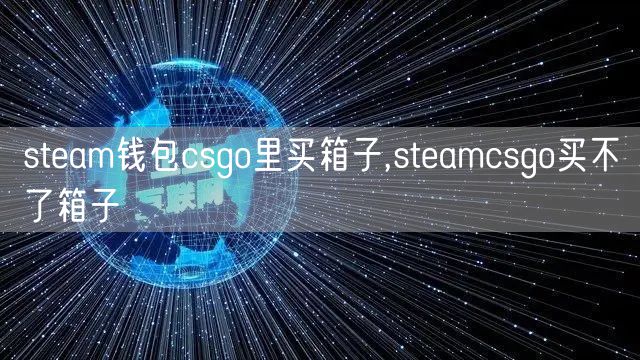 steam钱包csgo里买箱子,steamcsgo买不了箱子