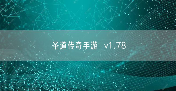 圣道传奇手游  v1.78
