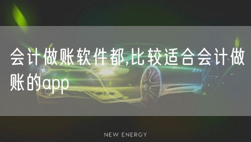 会计做账软件都,比较适合会计做账的app